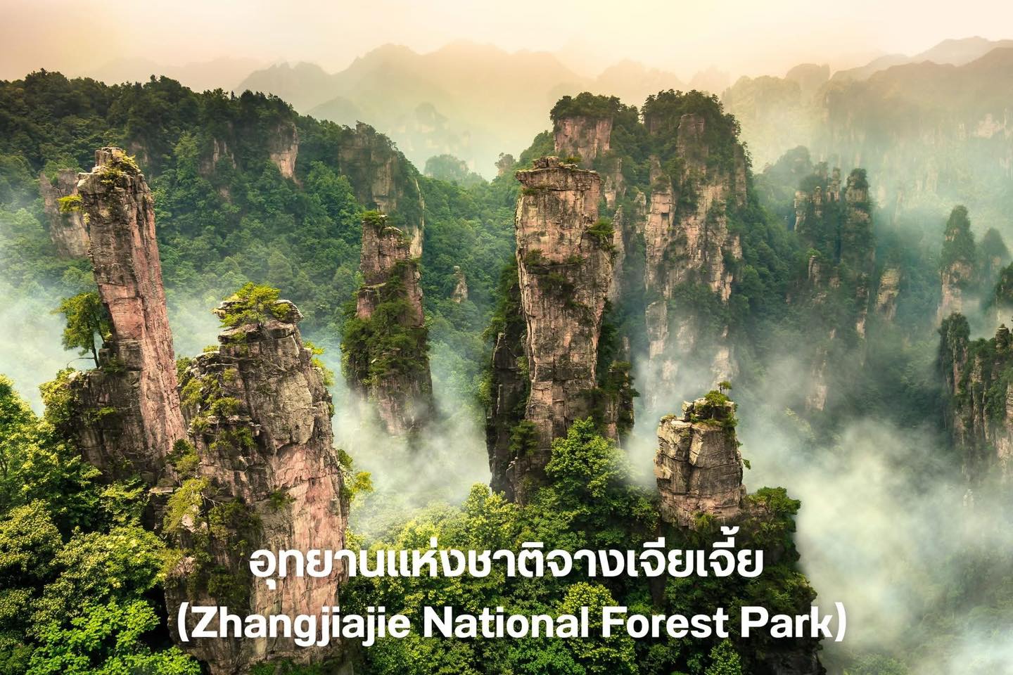 อุทยานแห่งชาติจางเจียเจี้ย (Zhangjiajie National Forest Park) - จางเจียเจี้ย
